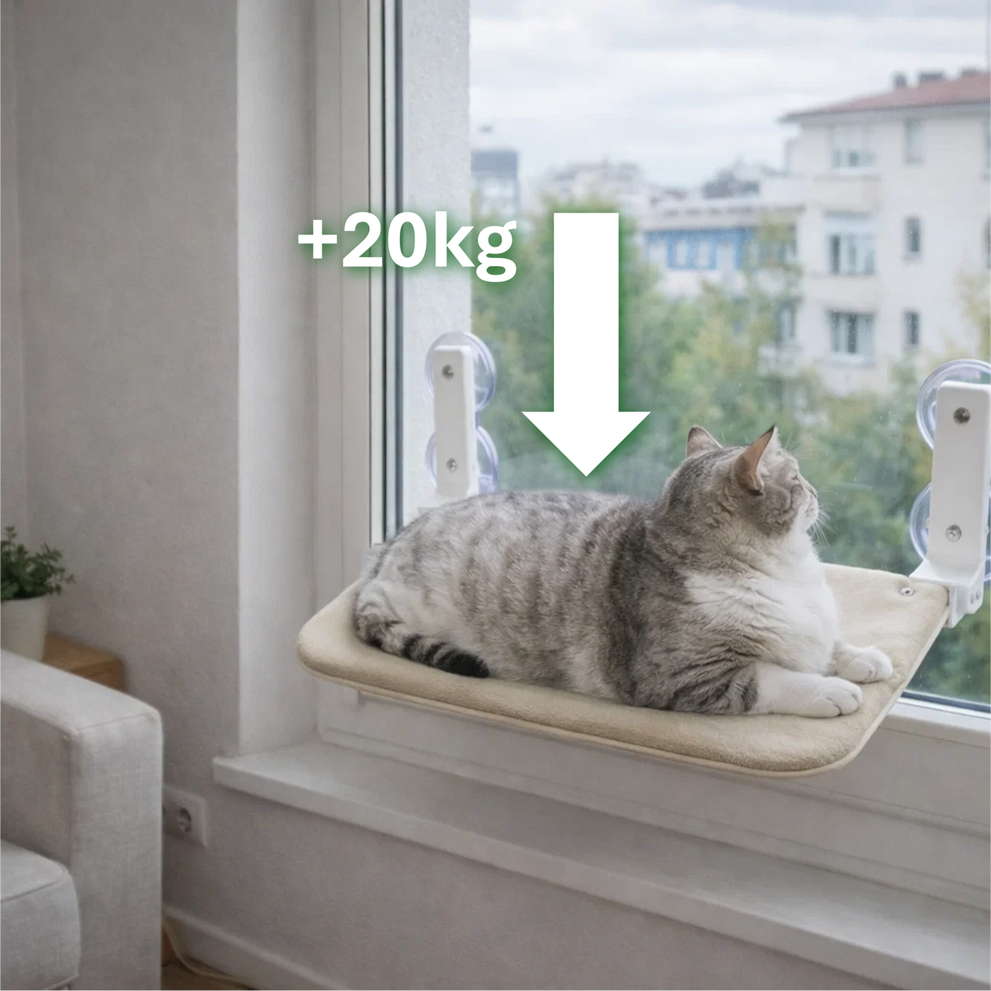 Hamac de fenêtre pour chat - supporte jusqu'à 20kg